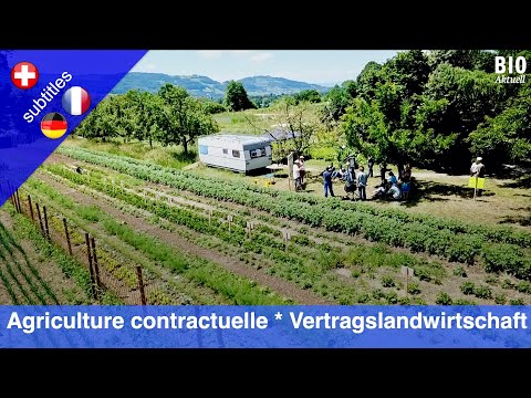 Solidarische Landwirtschaft SOLAWI Vertragslandwirtschaft am Beispiel Selbsterntegarten «Mis Gmues»