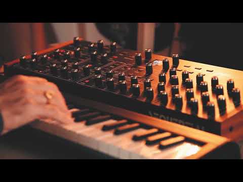 Rhodes sound on the Prophet Rev2 (Patch link in description)