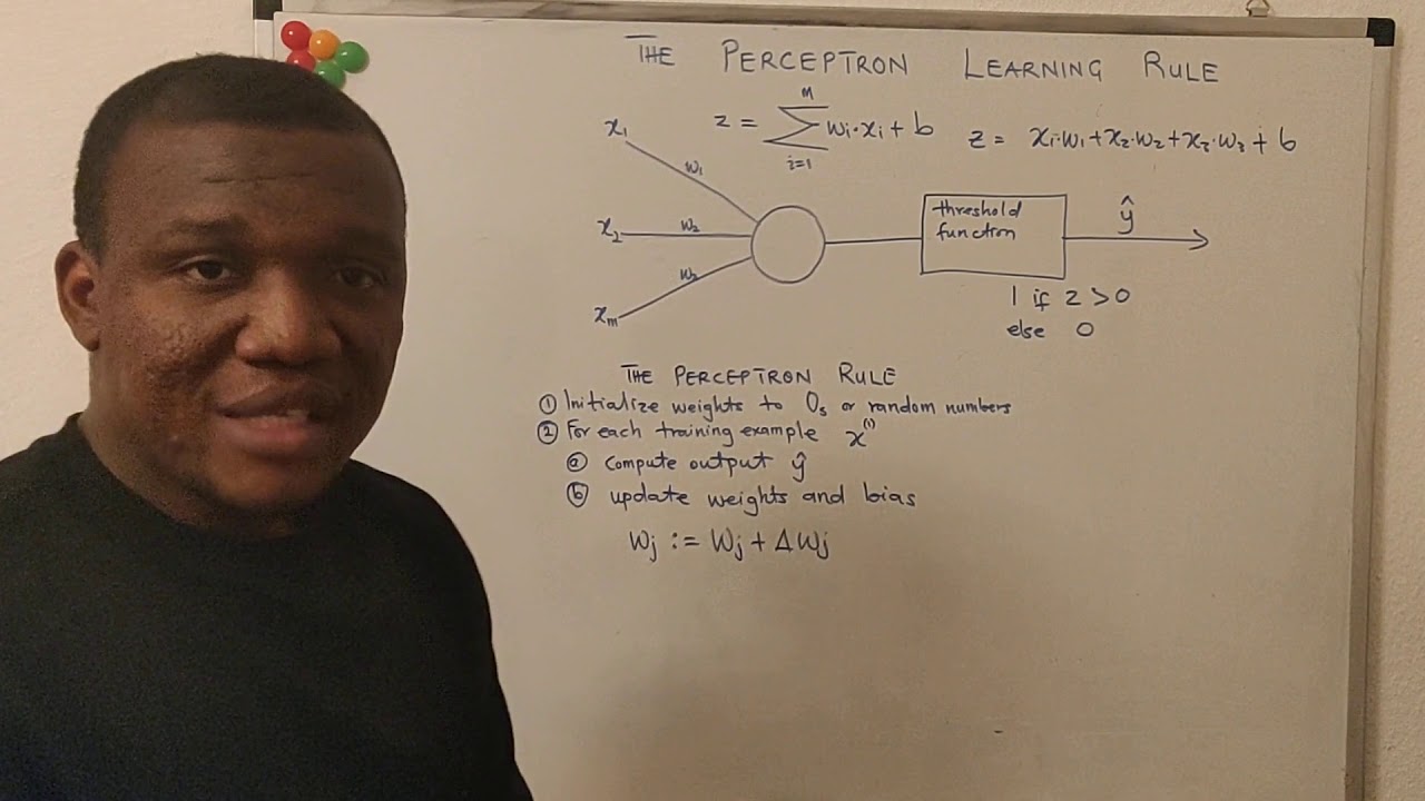 05 01 The Perceptron