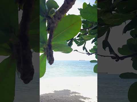 Pantai Nusa Kambangan - Cilacap