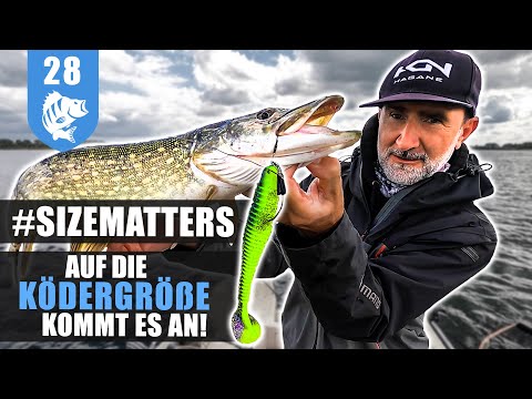 EASY auf HECHT: Kurbeln und FANGEN!