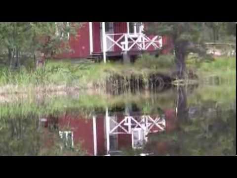 Reivo Cottage - Wilderness Life´s cottage in the wilderness