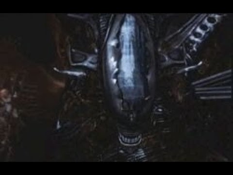 AVP: Specimen 6 molt into a queen