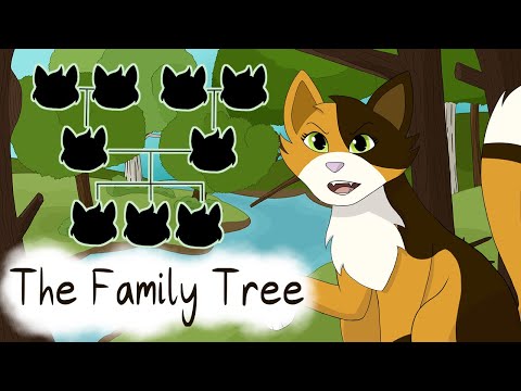 The Warriors Family Tree – Sunny's Spiel | Warriors Analysis