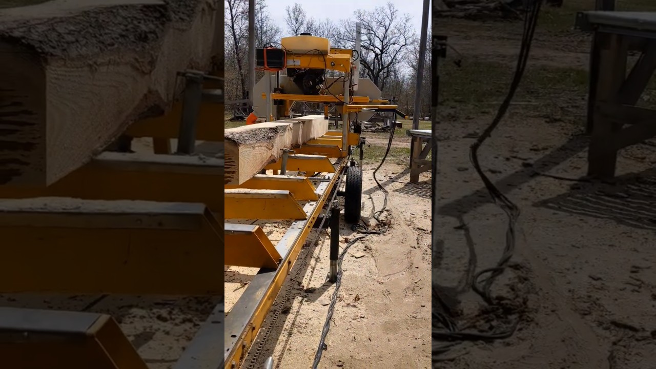 Sawmill and White Pine on a Beautiful Day