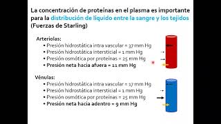 Proteinas plasmáticas - Profundizaciones