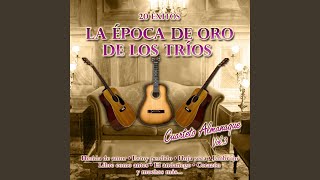 El Andariego