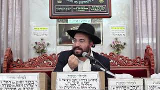 הרב מיכאל רביע | פרשת בהר בחוקותי | מוסאיוף | תשפ"ה