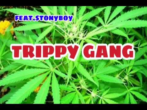 Stony boy - Ganja rap song | Telugu rap songs | HYDERABAD RAP ...