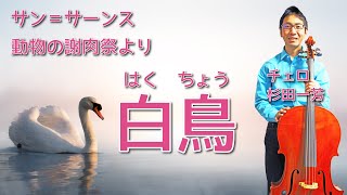 Download lagu サン=サーンス 動物の謝肉祭より「白鳥」|チェロ 杉田一芳 ピアノ 村田智佳子|The Carnival of the Animals, R. 125: XIII. The Swan| mp3 Download lagu サン=サーンス 動物の謝肉祭より「白鳥」|チェロ 杉田一芳 ピアノ 村田智佳子|The Carnival of the Animals, R. 125: XIII. The Swan| mp3
