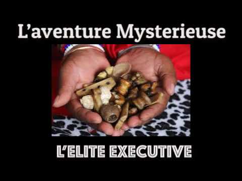 The Mysterious Adventure of the Executive Elite