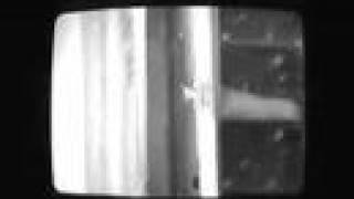 'Whitehead'