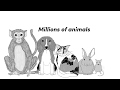 Unveiling the Moral Quandary: Animal Testing's Ethical Fault