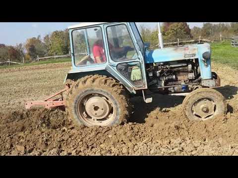 Rakovica 60 -  Oranje