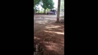 Decenas de haitianos indocumentados cruzar la frontera en motocicletas