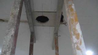 Cómo hacer agujeros para empotrar focos en techo de bovedilla.