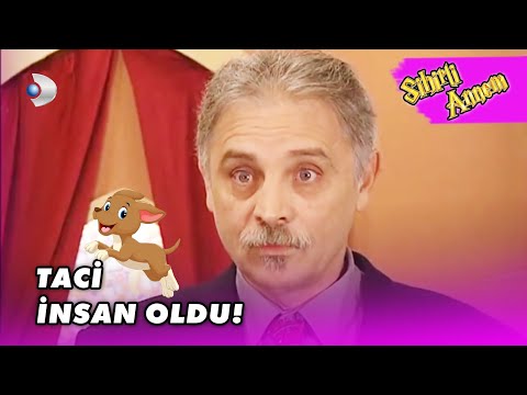 Taci İNSAN OLDU! - Sihirli Annem Özel Klip