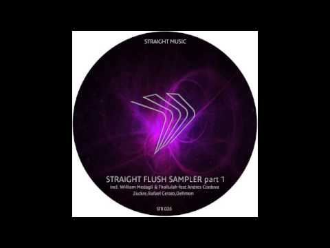 Dellmon -  Ain't talkin' (original mix) STR026