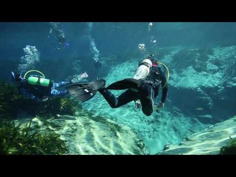 Aletas HyFlex Switch