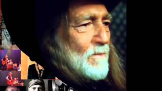 Willie Nelson Healing Hands of Time