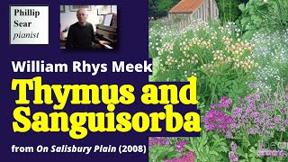 William Rhys Meek: ' Thymus and Sanguisorba ', from ' On Salisbury Plain '