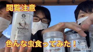 色んな虫を食べたり飲んだりしてみた！