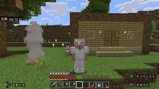 マイクラサバイバル配信