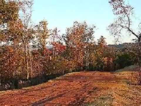 Lacramioara Asandoaie trece vreme