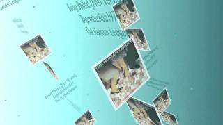 Being Boiled (Fast Version)