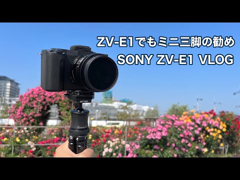 SONY ZV-E1 VLOG ZV-E1でもミニ三脚の勧め Gitzo ミニトラベラー #1279 [4K]