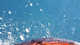 preview picture of video 'Nyis i Narsarsuaq fjorden'