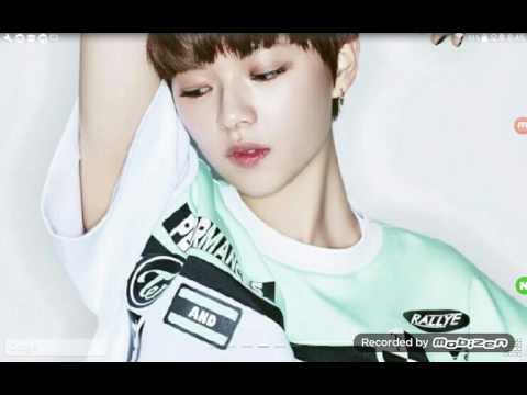 위키드  마당을 나온암탉