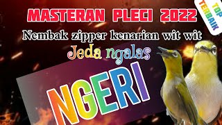 Download lagu Masteran pleci 2022 ngeri mp3 Download lagu Masteran pleci 2022 ngeri mp3