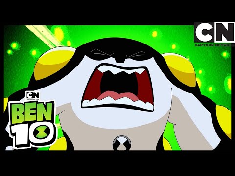 EVERY EPISODE OF SEASON 1 | Ben 10 | Cartoon Network