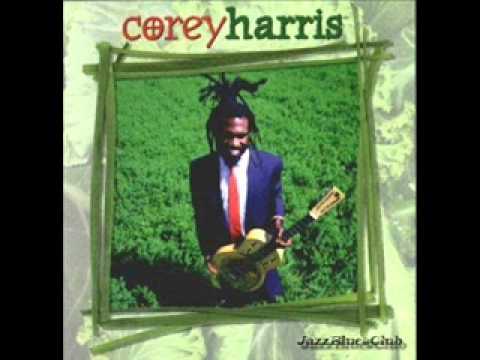 Corey Harris - Honeysuckle