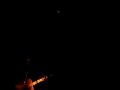 David Dondero 2 new songs