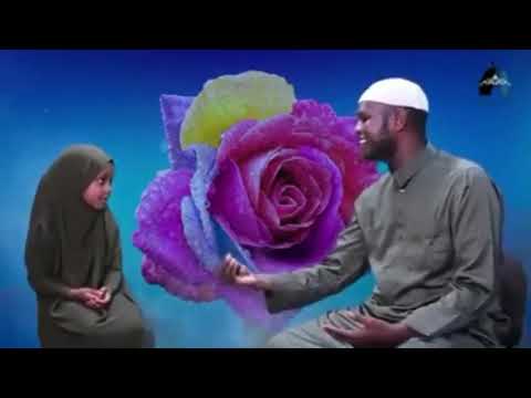 Hijabinike baredina ketii) hijabshi wubetish new