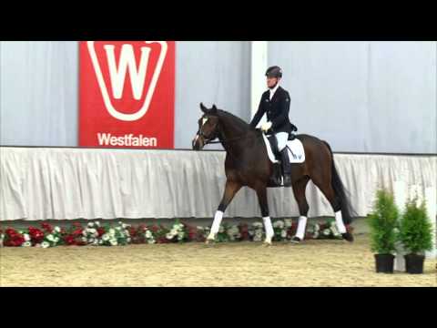 02 Fürst Fred Wallach v. Fürstenball - Ferragamo