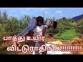 Wrestlemania 34 Promo Brock Lesnar Vs Roman Reigns Wrestling Tamil