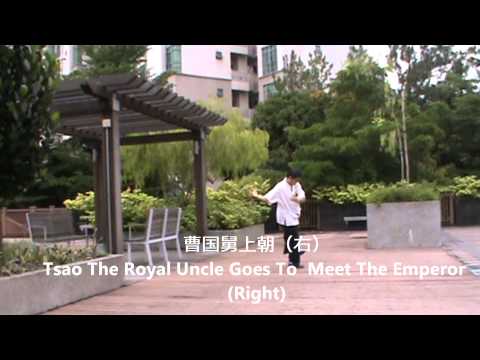 醉八仙拳 （南派) Drunken 8-Immortals Fist (Southern Style)