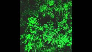 Marika Hackman- Deep Green (Radio Edit)