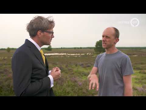 Grafheuvels van duizenden jaren liggen nog steeds op de Veluwe - Ridders van Gelre