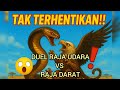 PERTARUNGAN SENGIT ️ MACAN TUTUL VS ELANG ️ RAJA DARAT ATAU RAJA UDARA HASILNYA TAK MASUK AKAL