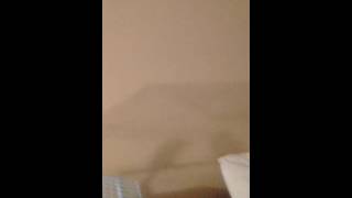 Ricky clubs of Western Niagara Falls