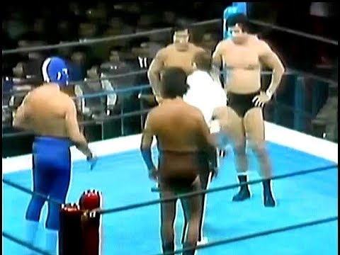 ANÍBAL Y PERRO AGUAYO VS GRAN HAMADA Y TATSUMI FUJINAMI