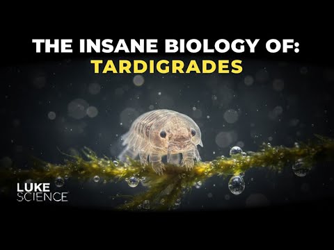 The Insane Biology of: Tardigrades