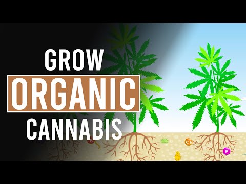 , title : 'Your Guide to Growing ORGANIC Cannabis!'