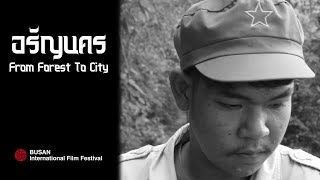 From Forest To City