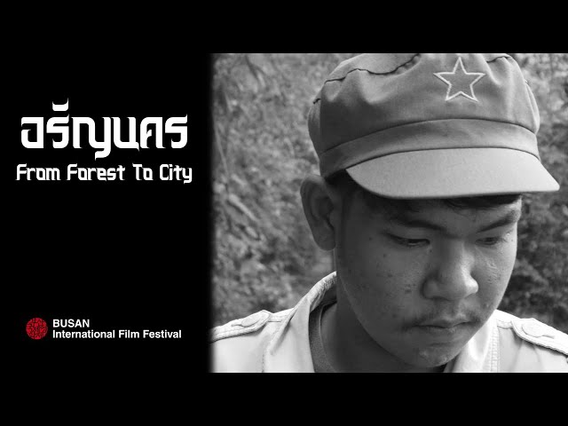 From Forest To City