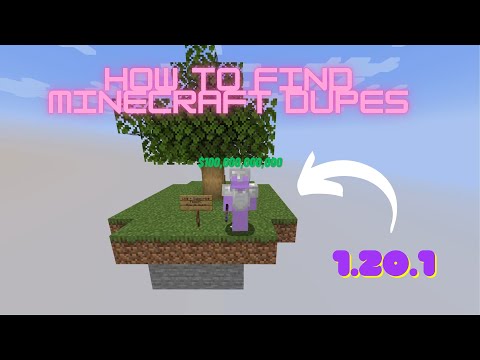 PeepMC - How To Find Minecraft Java 1.20.1 Dupes - Any server